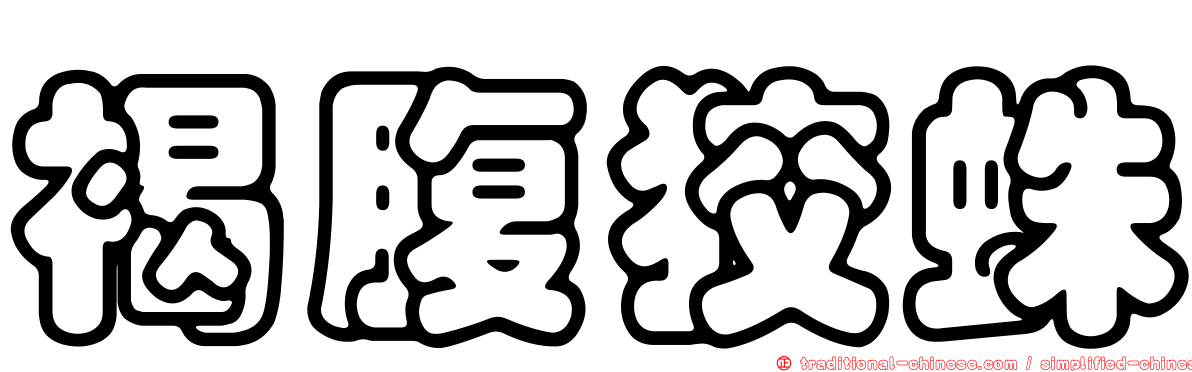 褐腹狡蛛