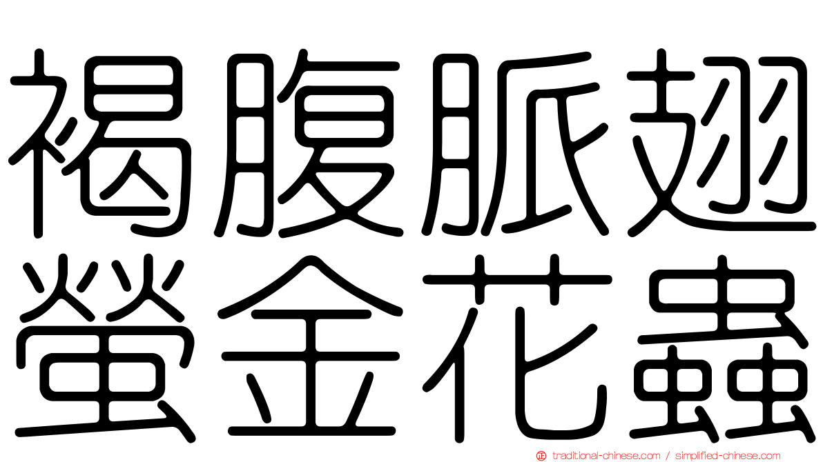 褐腹脈翅螢金花蟲