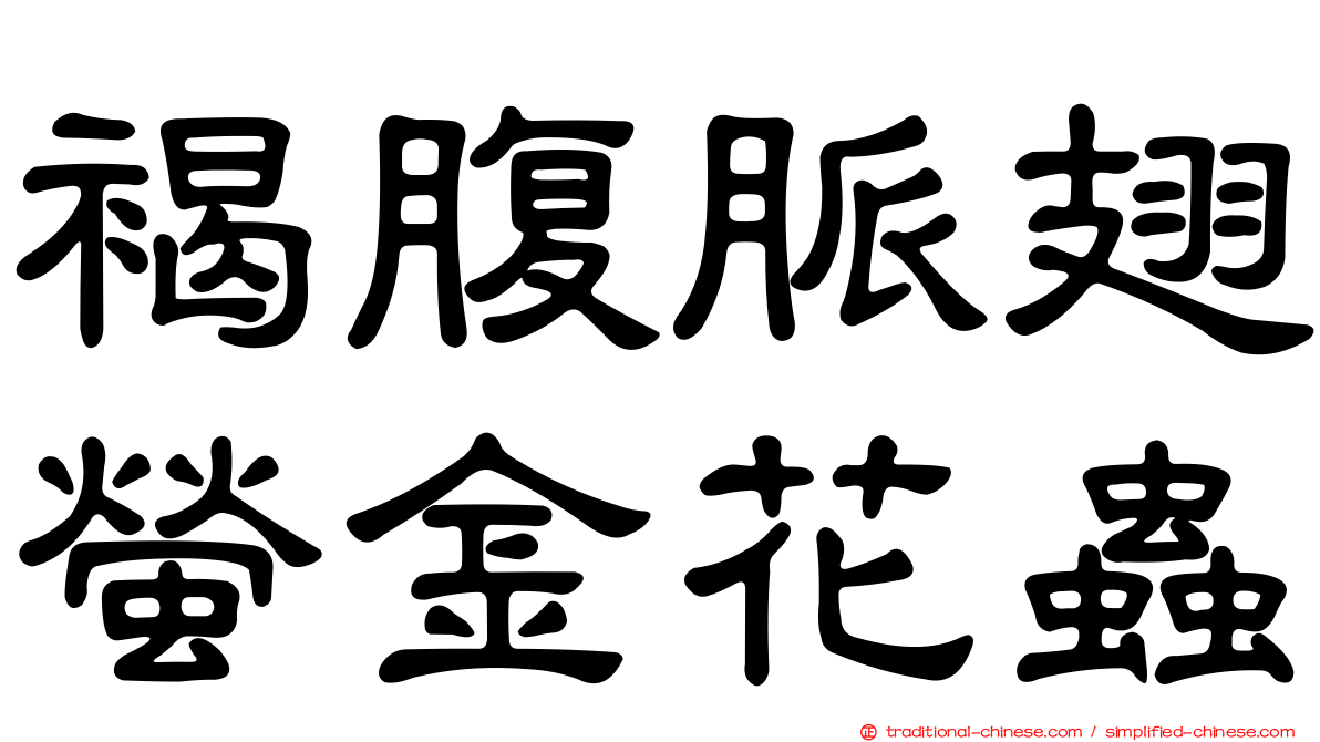 褐腹脈翅螢金花蟲