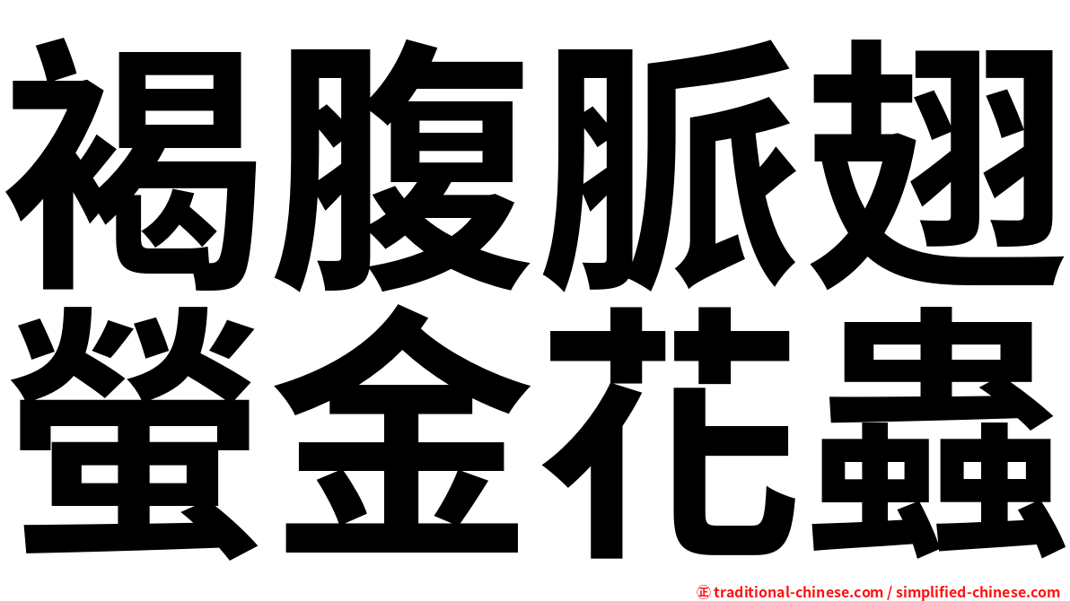 褐腹脈翅螢金花蟲