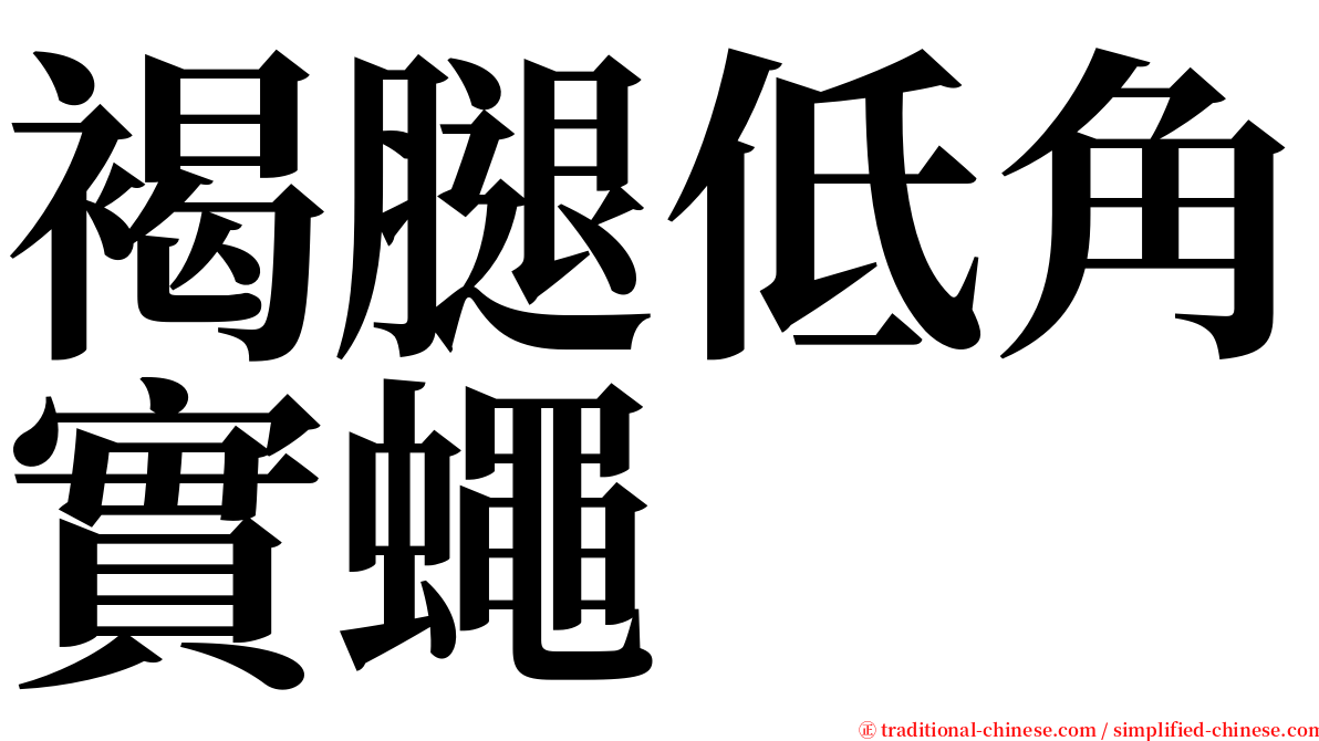褐腿低角實蠅 serif font