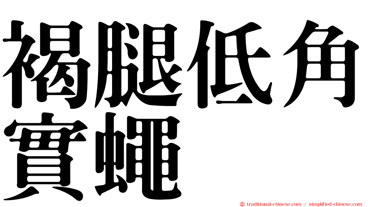 褐腿低角實蠅