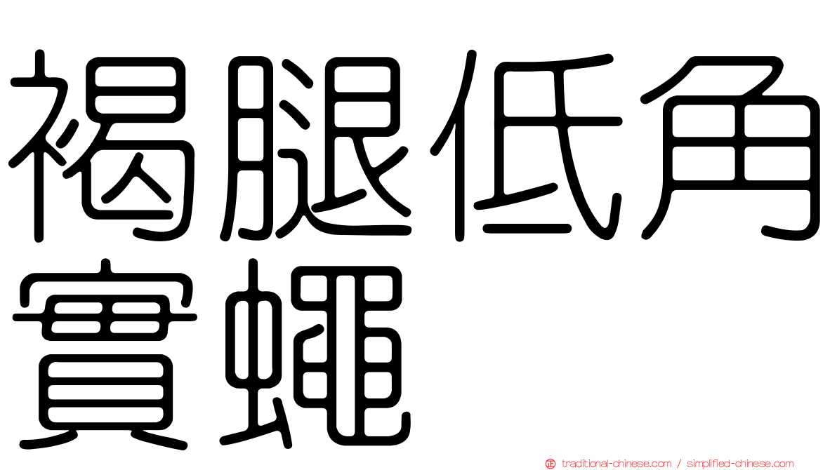褐腿低角實蠅
