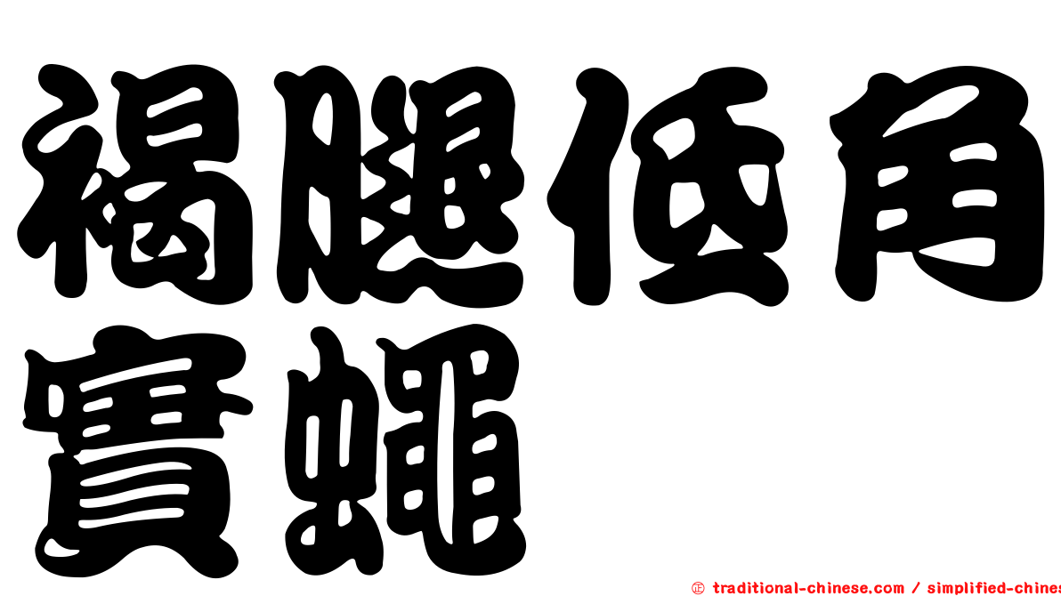 褐腿低角實蠅