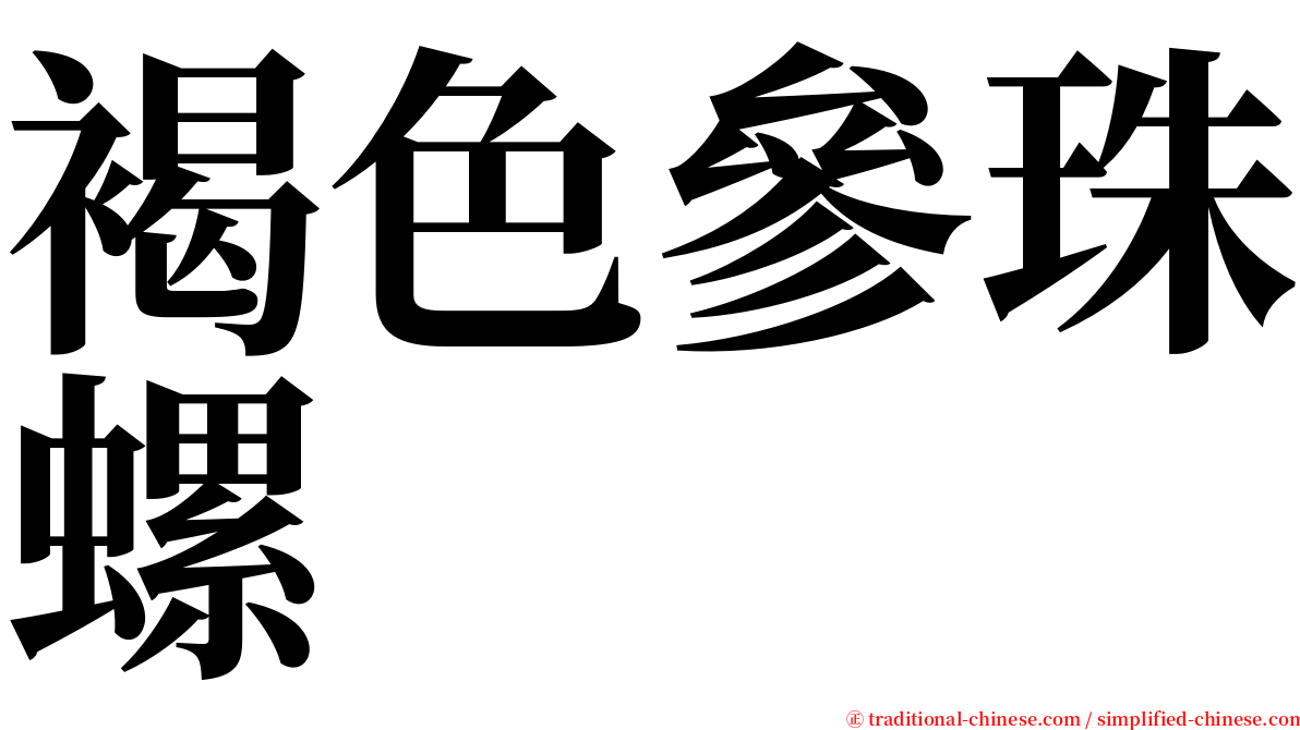 褐色參珠螺 serif font