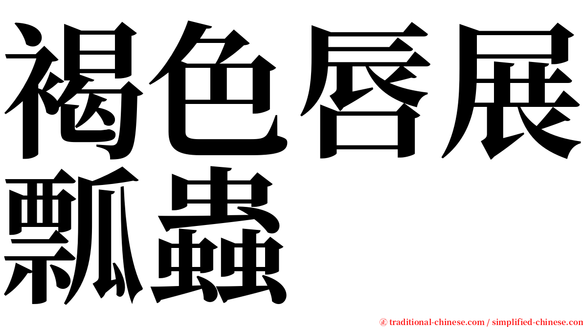褐色唇展瓢蟲 serif font