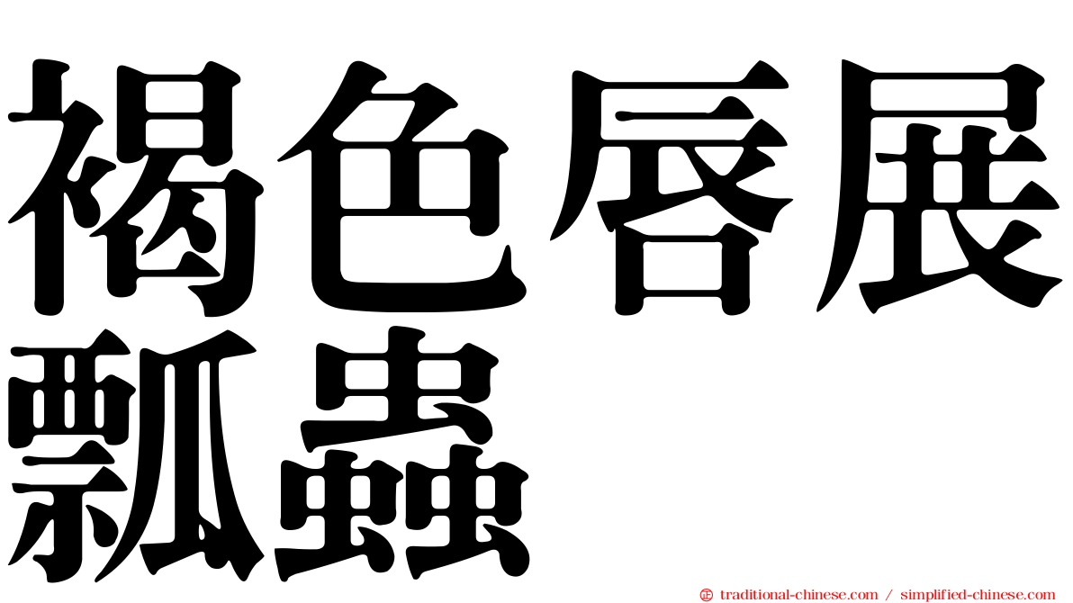 褐色唇展瓢蟲