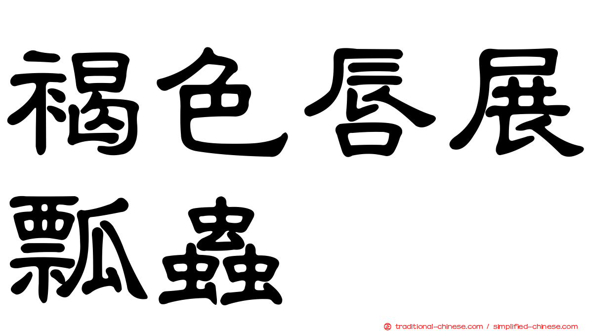 褐色唇展瓢蟲
