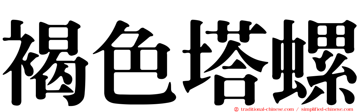 褐色塔螺