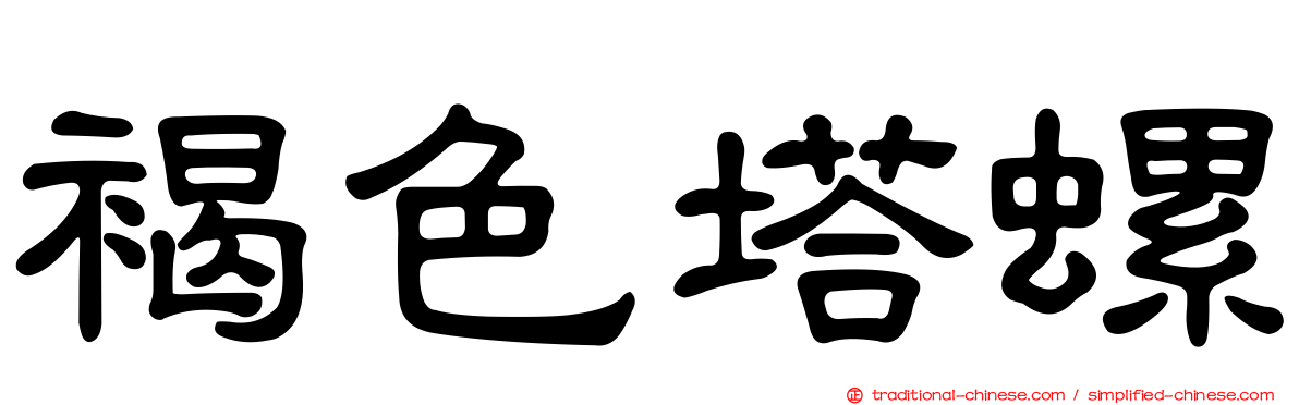 褐色塔螺