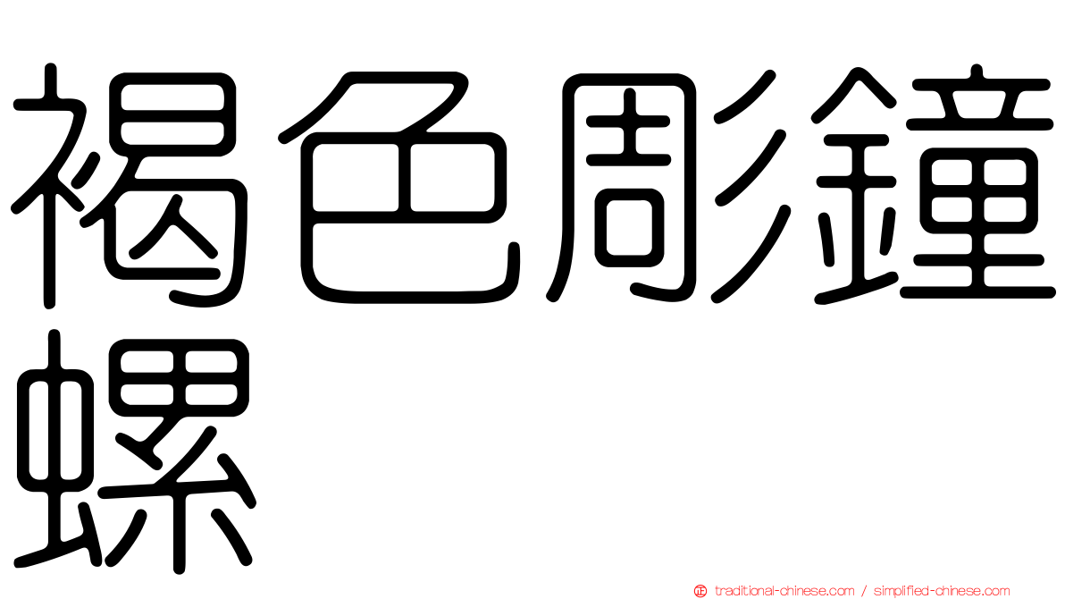 褐色彫鐘螺