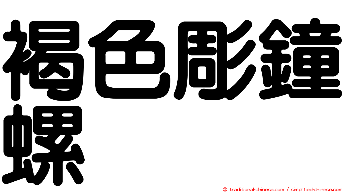 褐色彫鐘螺