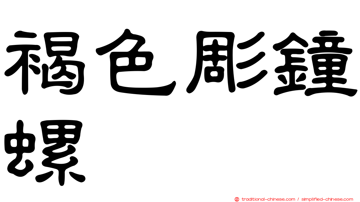 褐色彫鐘螺