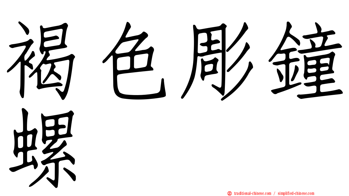 褐色彫鐘螺