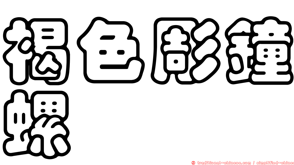 褐色彫鐘螺
