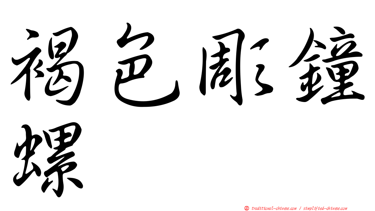 褐色彫鐘螺