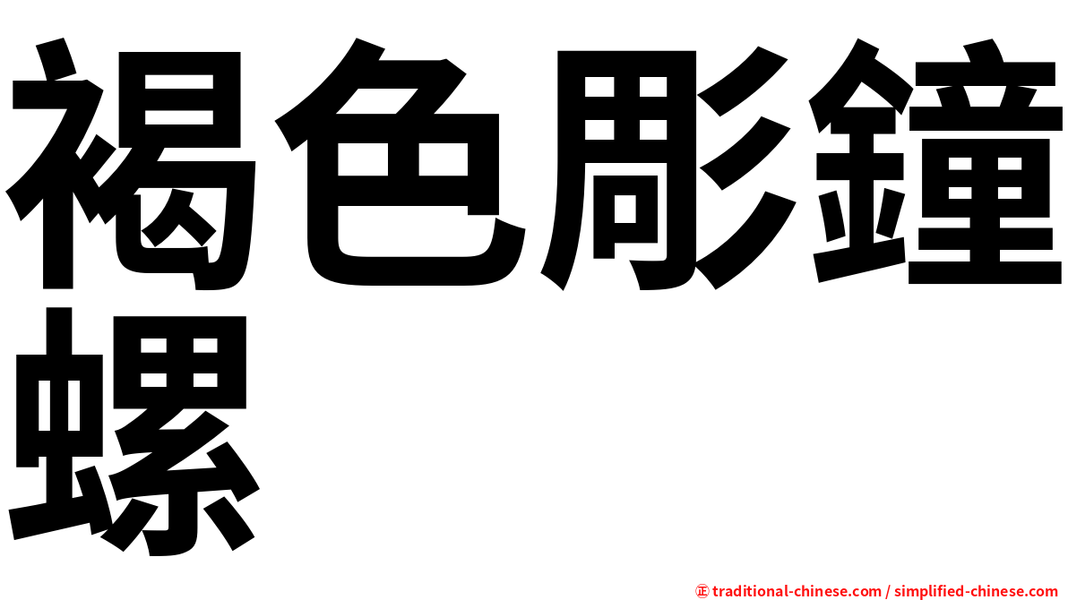 褐色彫鐘螺