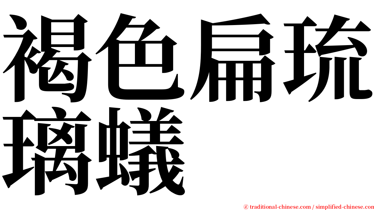 褐色扁琉璃蟻 serif font