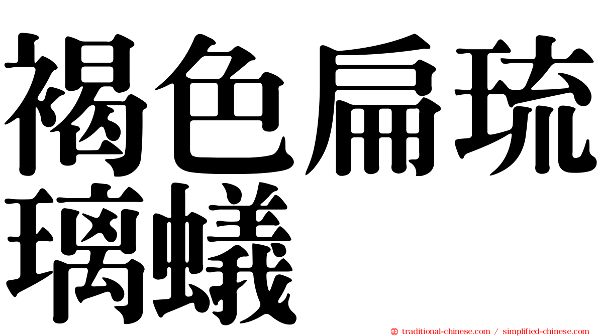 褐色扁琉璃蟻