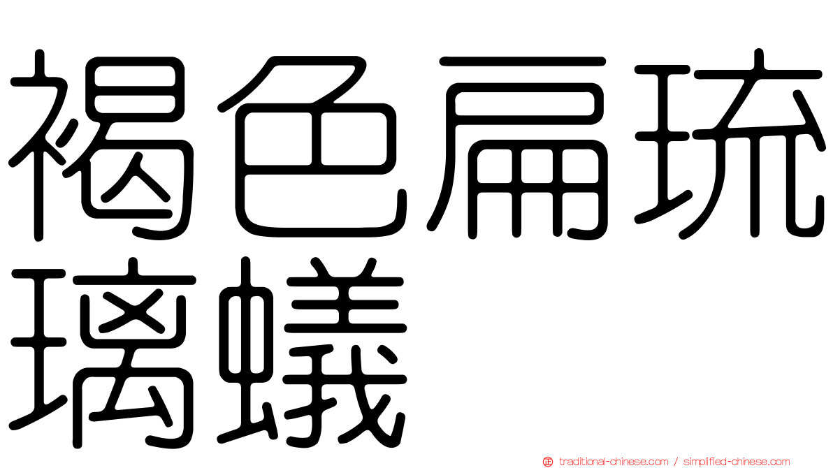 褐色扁琉璃蟻