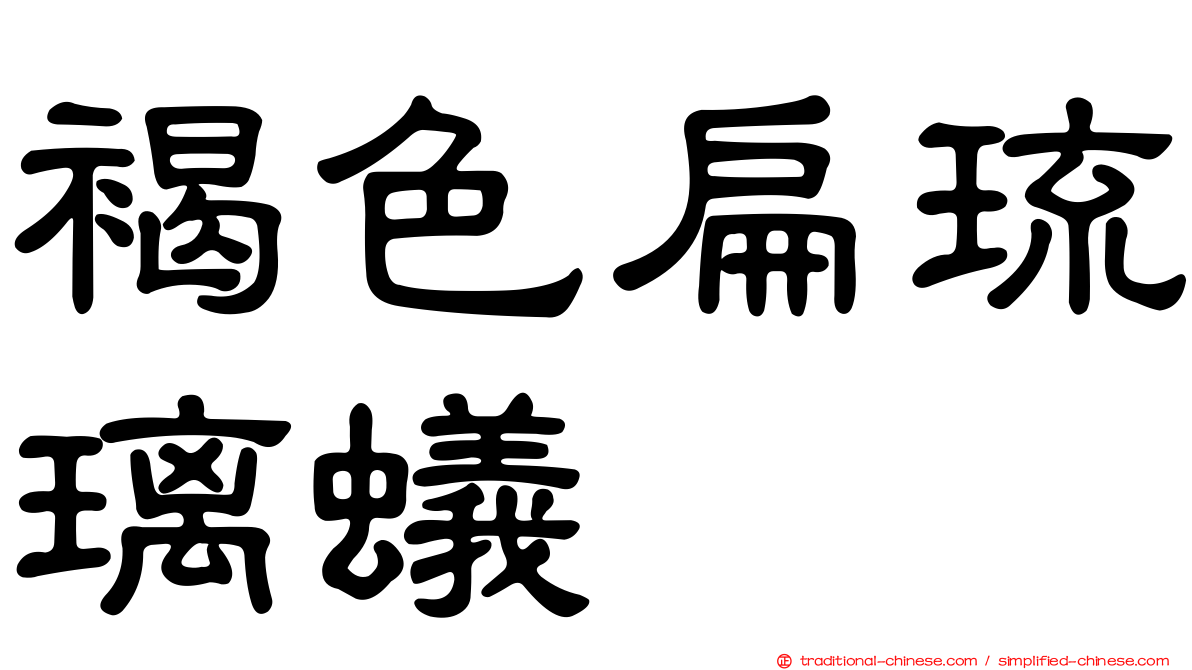 褐色扁琉璃蟻