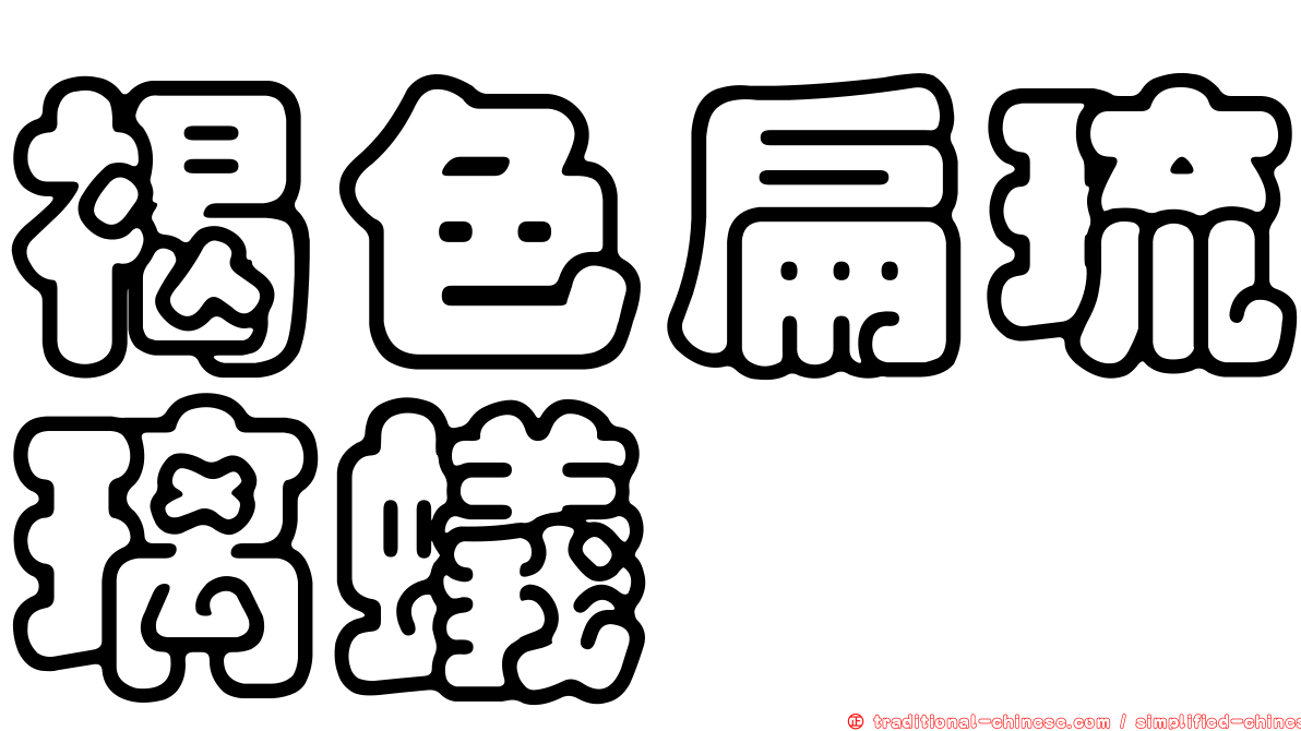 褐色扁琉璃蟻