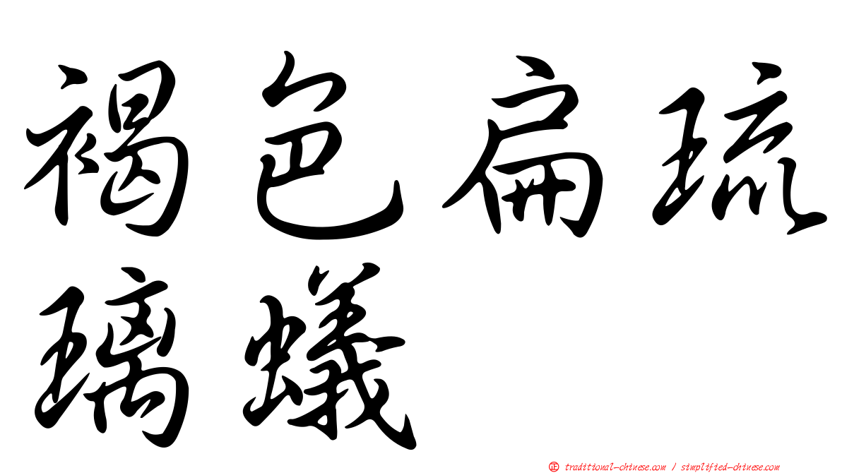 褐色扁琉璃蟻