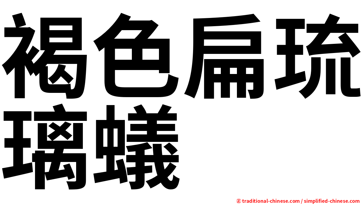 褐色扁琉璃蟻