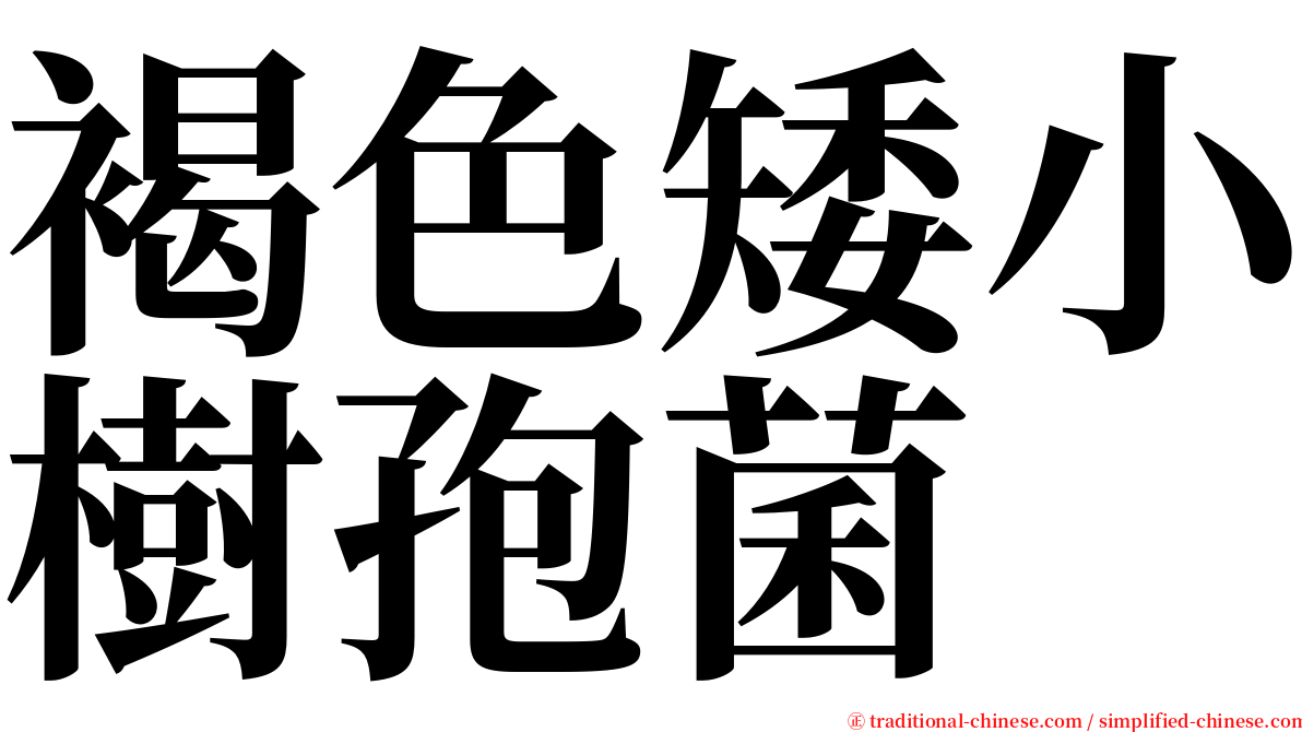 褐色矮小樹孢菌 serif font