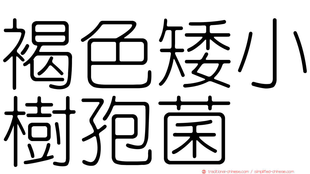 褐色矮小樹孢菌