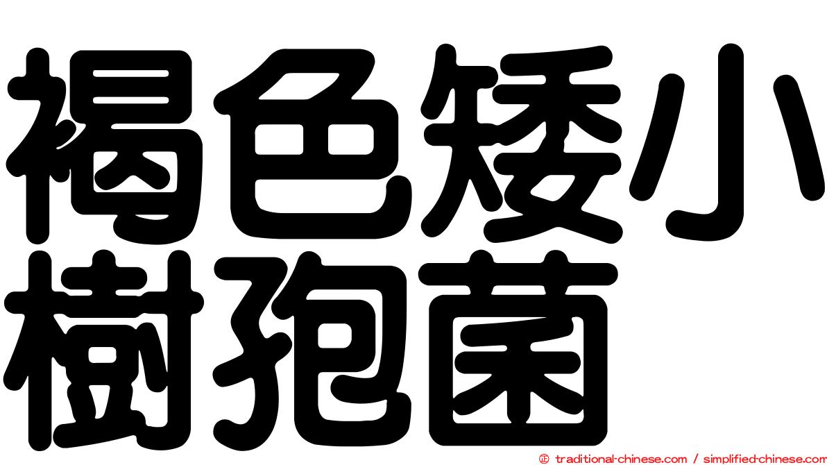 褐色矮小樹孢菌