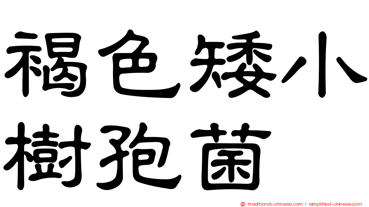 褐色矮小樹孢菌
