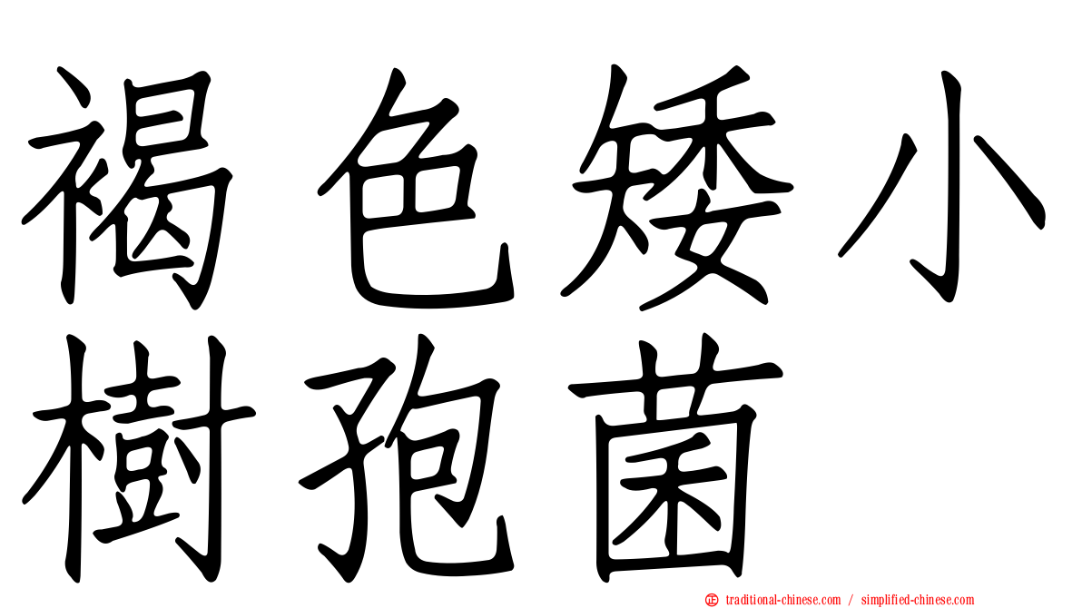 褐色矮小樹孢菌