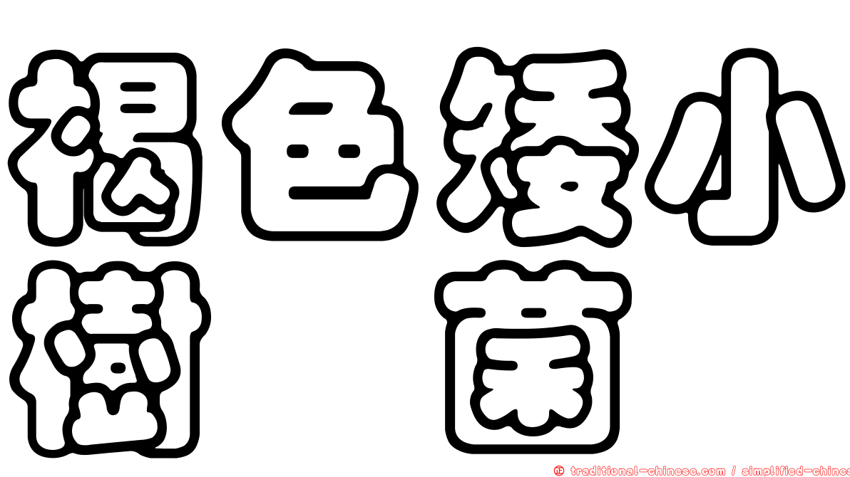 褐色矮小樹孢菌