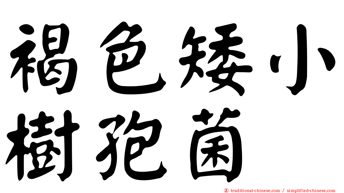 褐色矮小樹孢菌