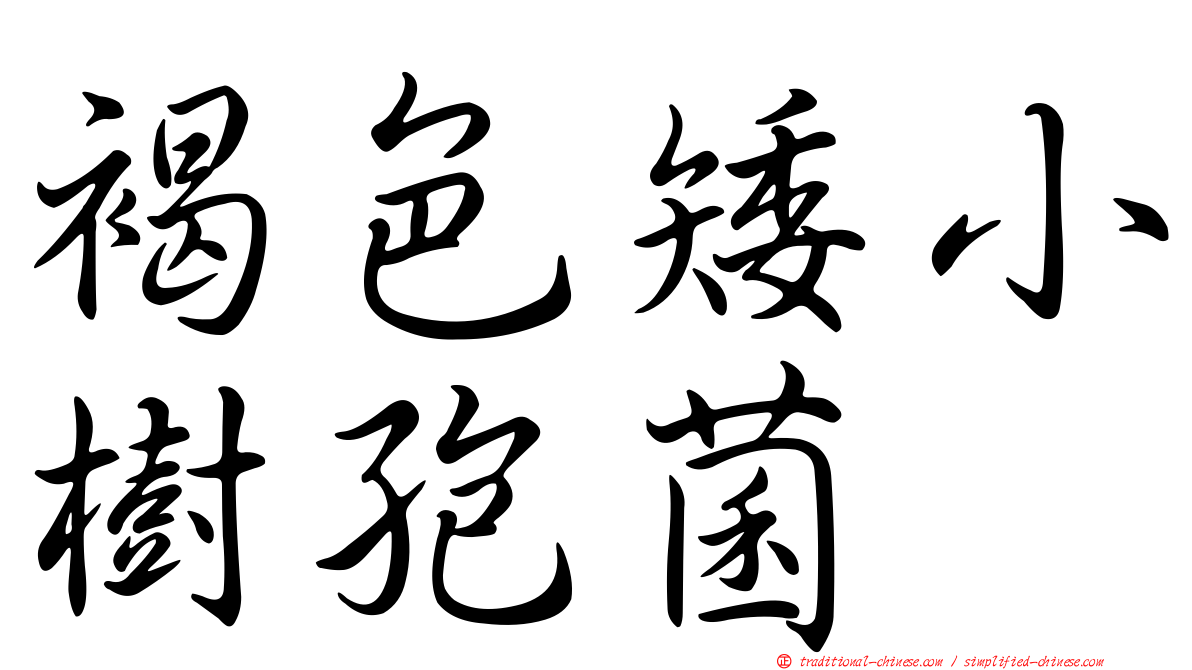 褐色矮小樹孢菌
