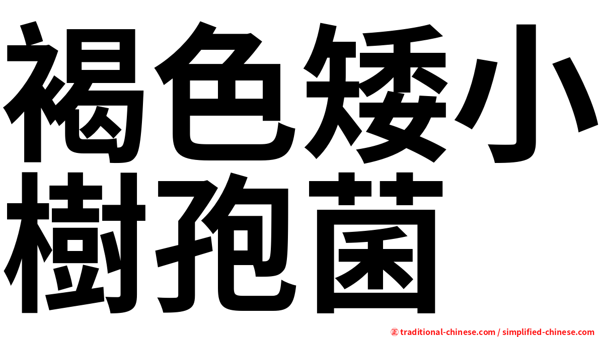 褐色矮小樹孢菌