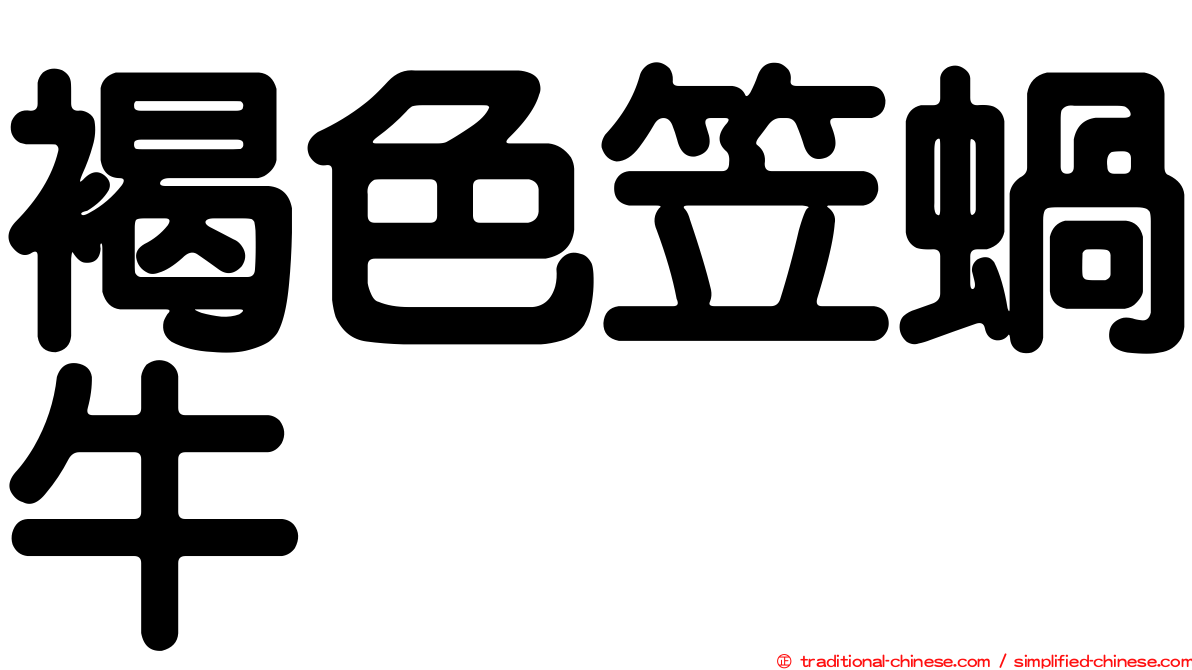 褐色笠蝸牛