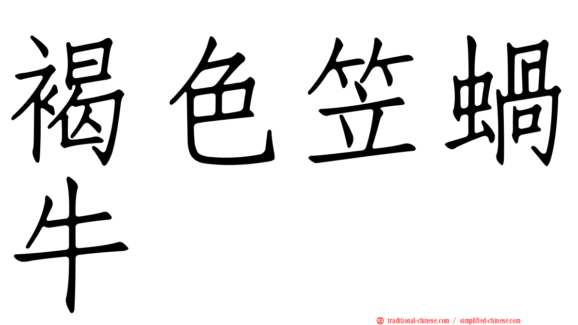 褐色笠蝸牛