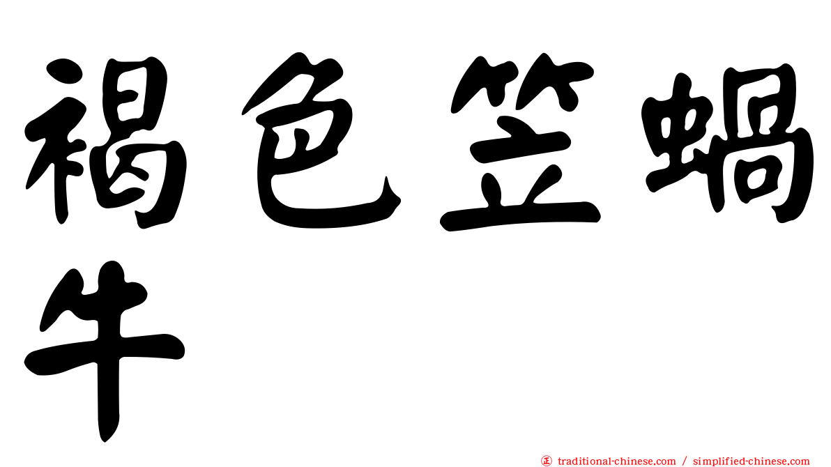 褐色笠蝸牛