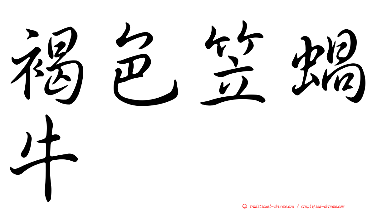 褐色笠蝸牛