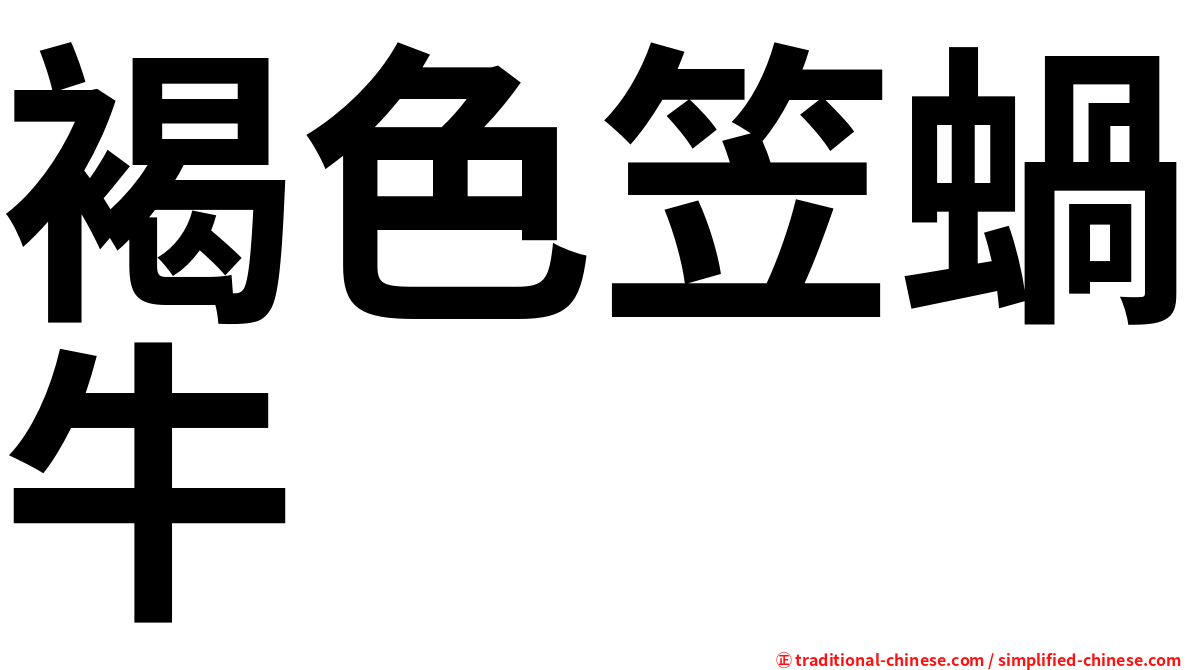褐色笠蝸牛