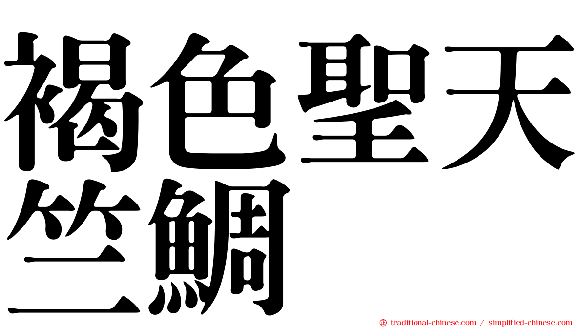 褐色聖天竺鯛