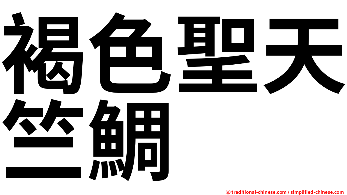褐色聖天竺鯛