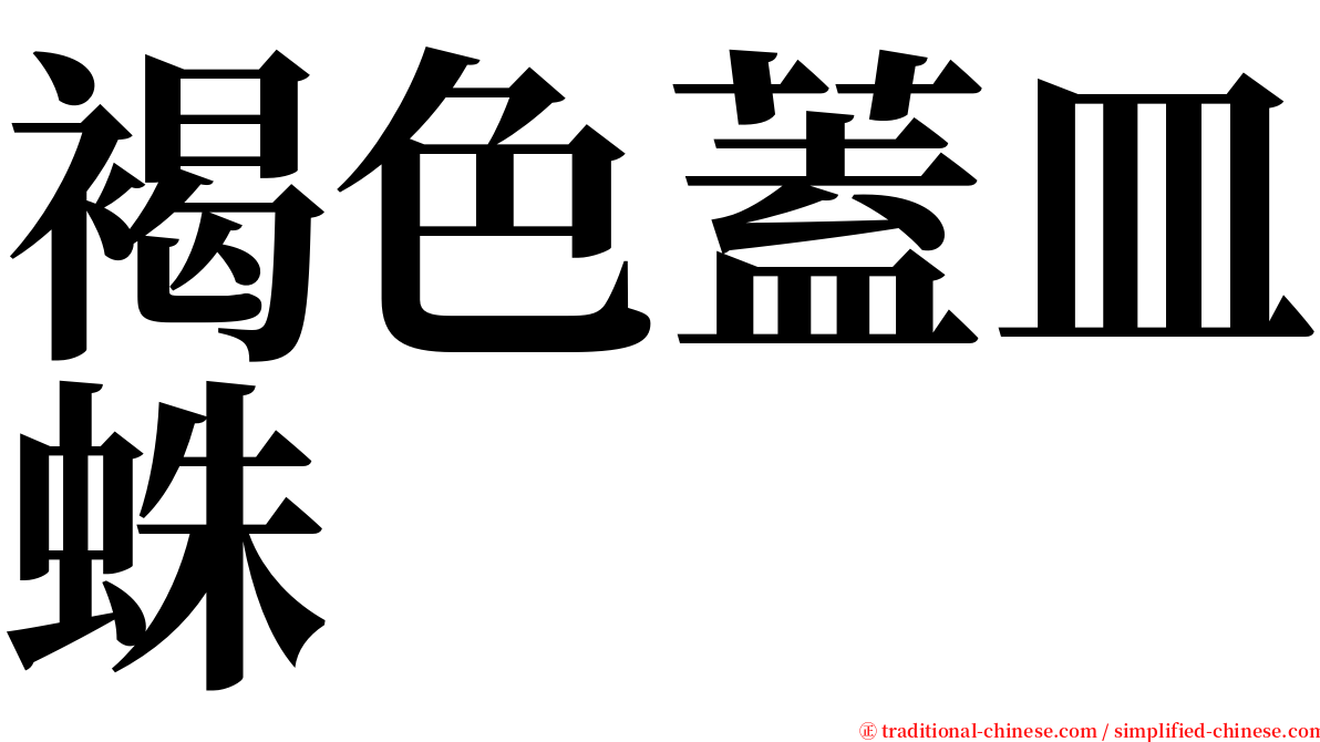 褐色蓋皿蛛 serif font