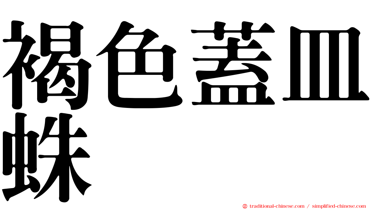 褐色蓋皿蛛