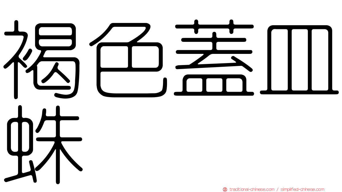 褐色蓋皿蛛