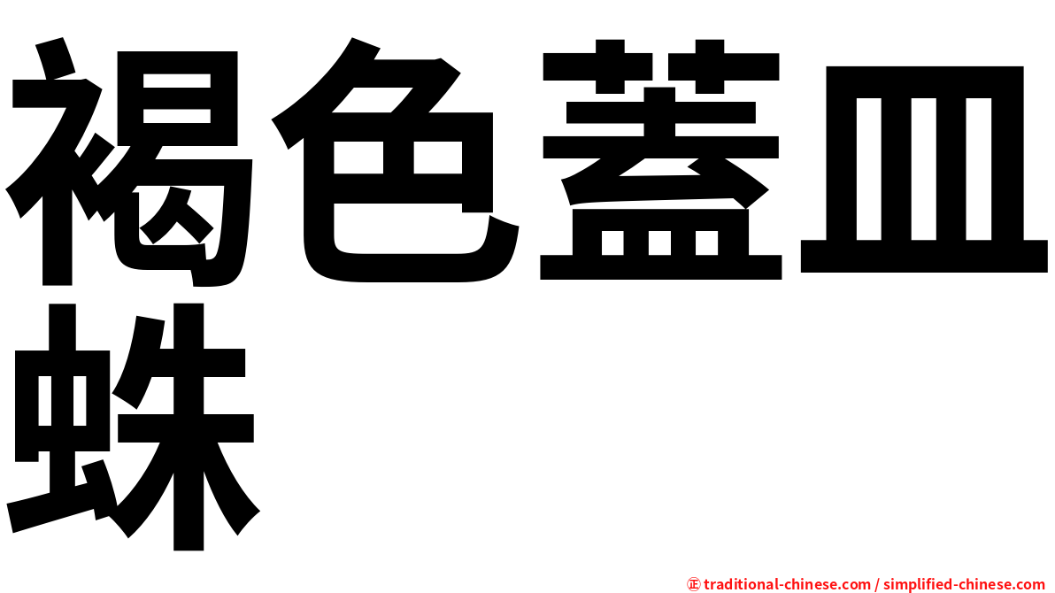 褐色蓋皿蛛