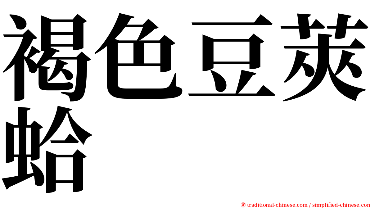 褐色豆莢蛤 serif font