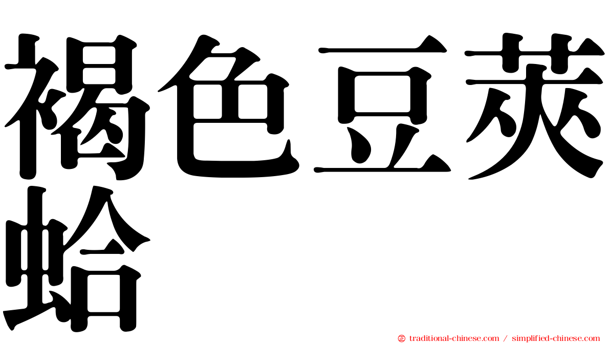 褐色豆莢蛤